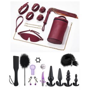 Bondage Bliss Essentials 20 pieces plus Wine Red Restraint Set – BDSM Lust Erotica 2 2